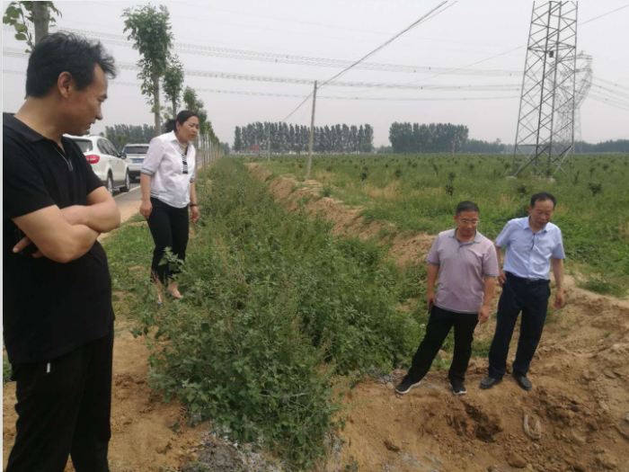 汶上縣人民政府 部門動態(tài) 縣交通運輸局召開南郭公路掃尾工程建設(shè)工作推進會