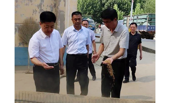 汶上縣人民政府 政務(wù)要聞 縣委常委、副縣長王洪正督導(dǎo)檢查夏糧收購工作