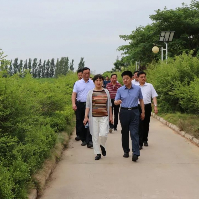 汶上縣人民政府 政務(wù)要聞 濟寧市生態(tài)環(huán)境保護先進典型觀摩活動組來汶上縣觀摩